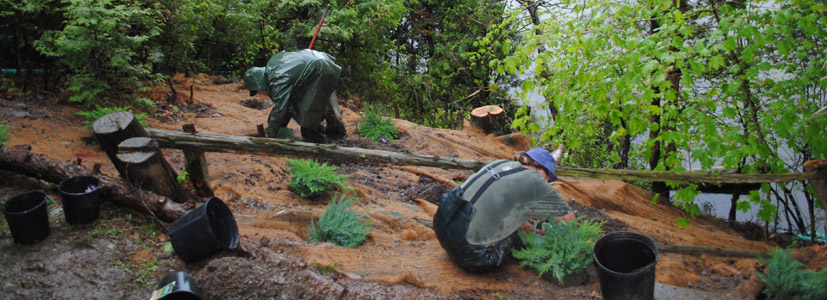 Landscape construction for Vermont