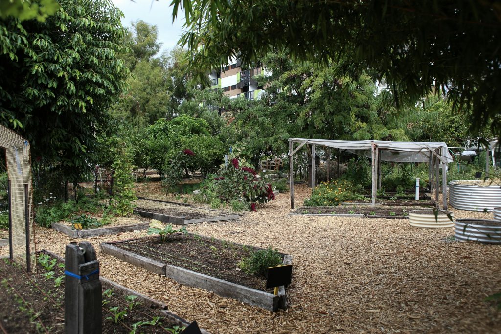 Large Garden With Plants and Trees